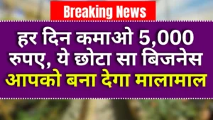 Banana chips Making Business