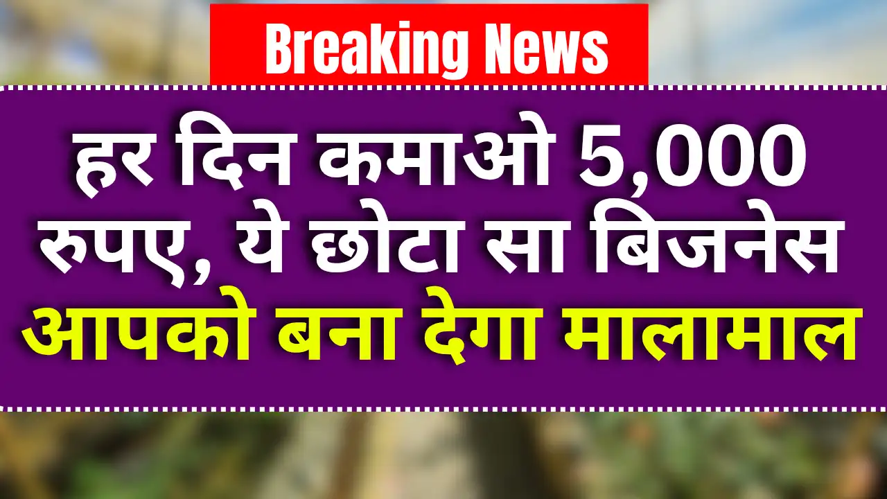 Banana chips Making Business