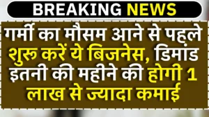 Icecream Parlour Business