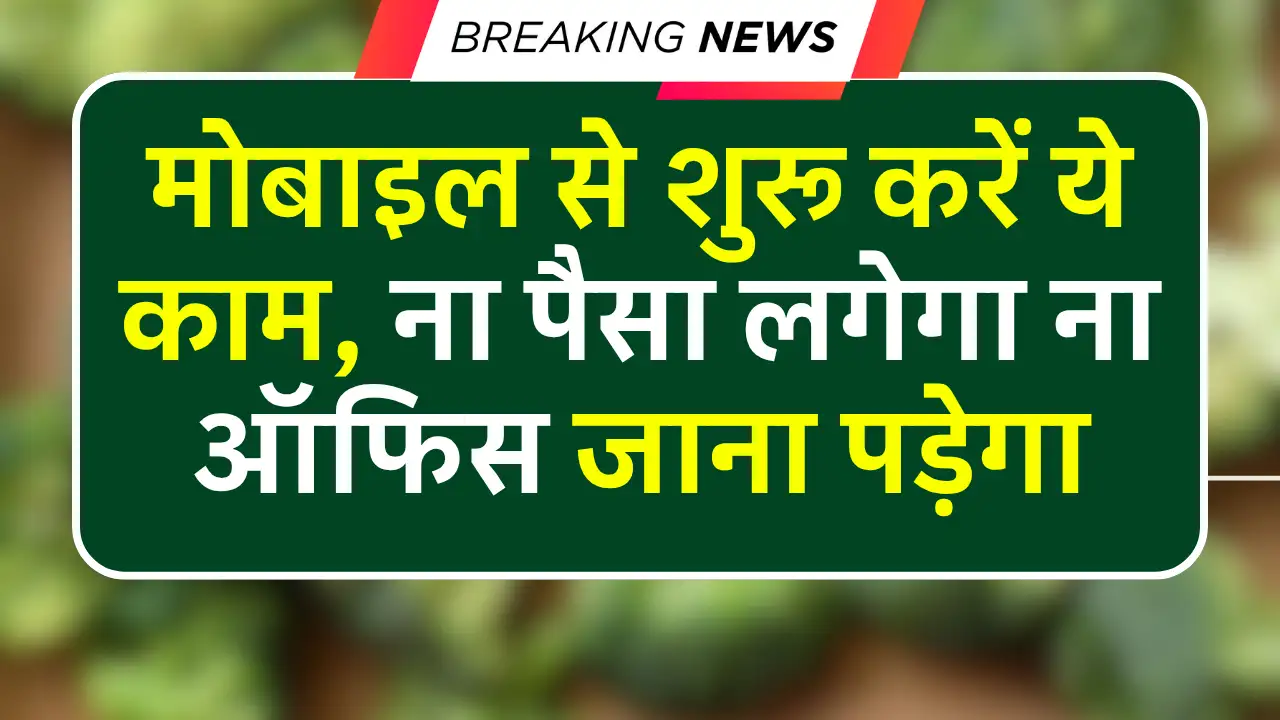 Online Survey Feedback Job