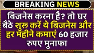 Potato chips Making Business