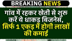 Strawberry farming business