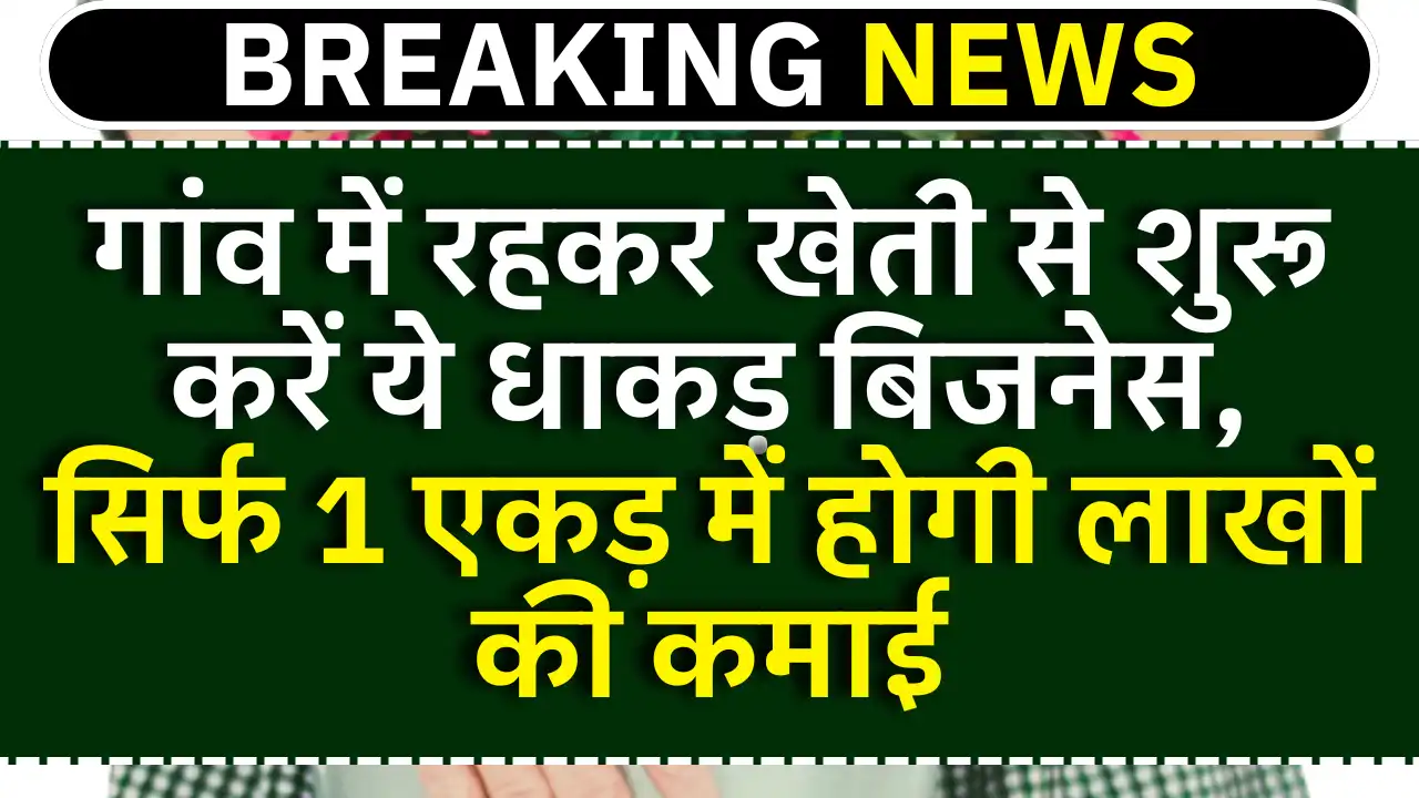 Strawberry farming business