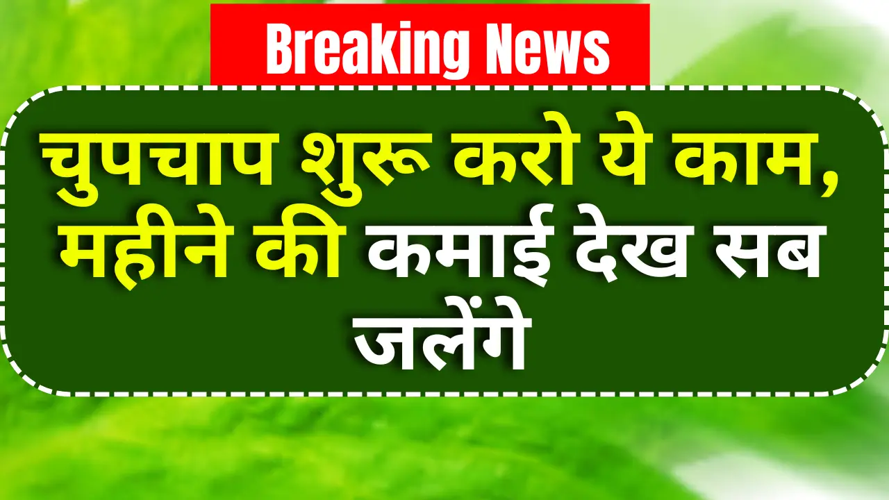 Voice Over Artist job