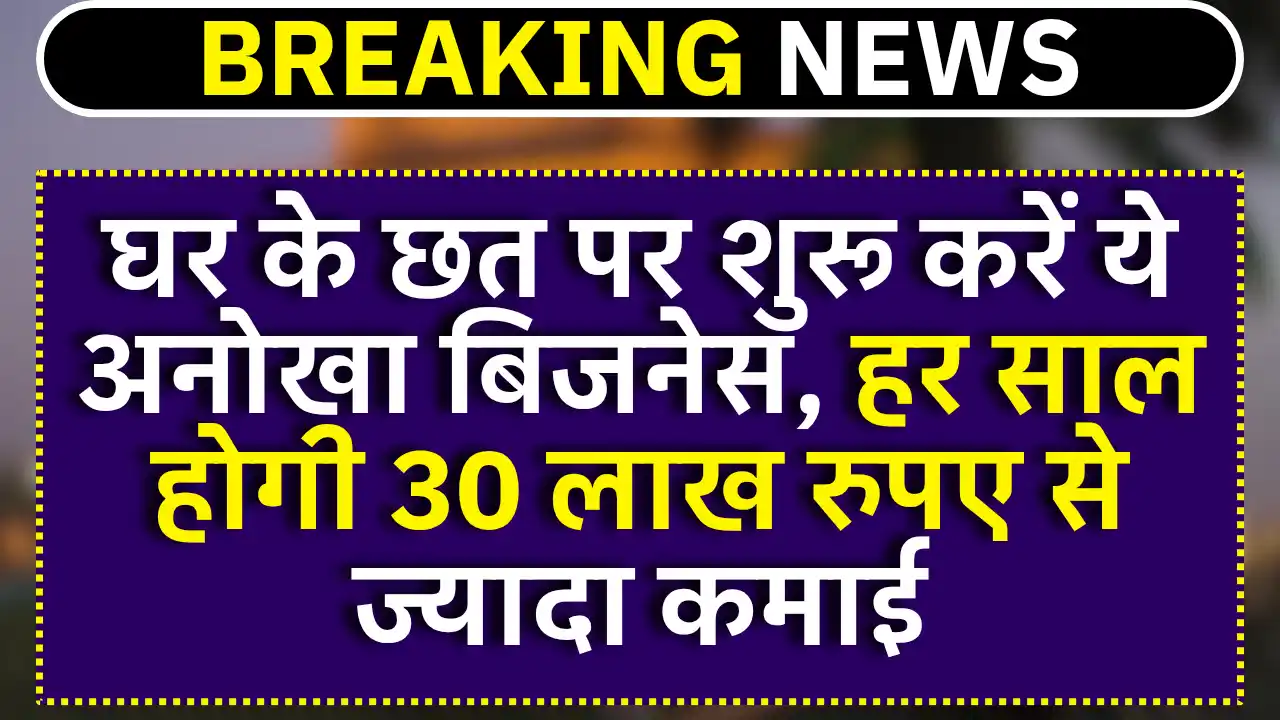 Pearl Farming Business